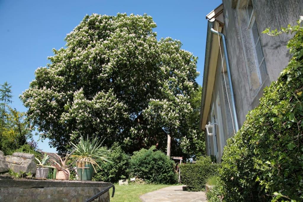 Haus Keppelborg: Zi Antonia Mit Kirchplatzblick Apartamento Heek Exterior foto