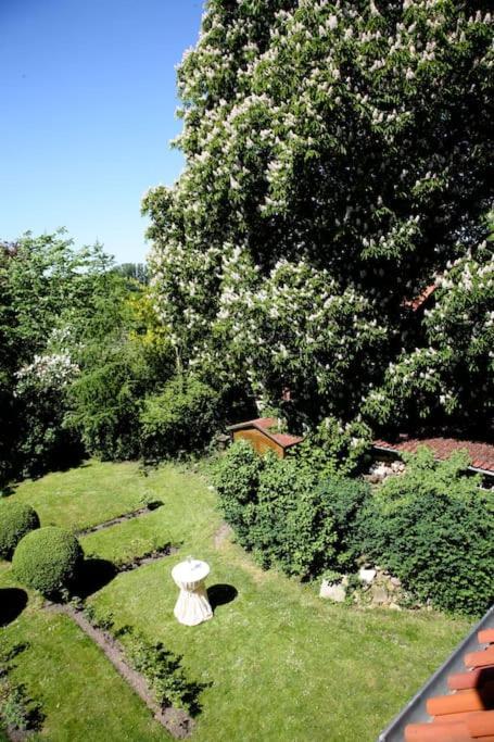 Haus Keppelborg: Zi Antonia Mit Kirchplatzblick Apartamento Heek Exterior foto